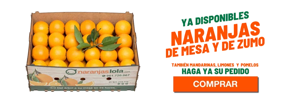 Naranjas de Mesa y Zumo ya disponibles